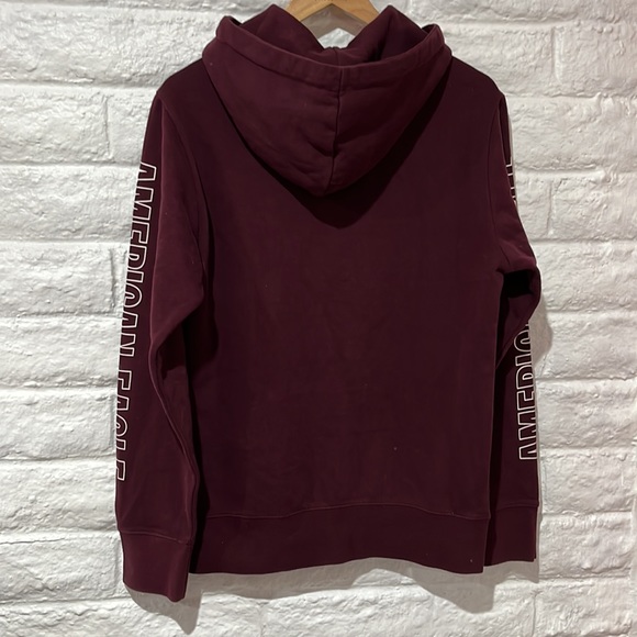NWT American eagle outfitters hoodie - Picture 6 of 8